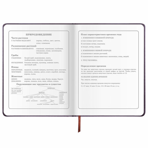 Дневник 1-4 класс 48 л., обложка кожзам (твердая), печать, аппликация, ЮНЛАНДИЯ, «Сладкоежка»