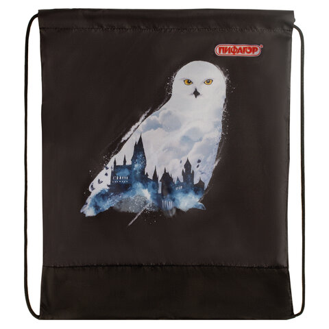 Сумка для обуви ПИФАГОР1 отделение42×34 см«White Owl»270182