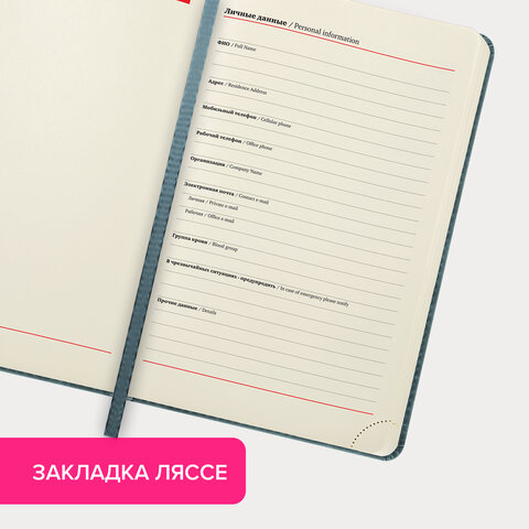 Ежедневник недатированный А5 138×213 мм BRAUBERG «Status», под кожу, 160 л., серо-голубой