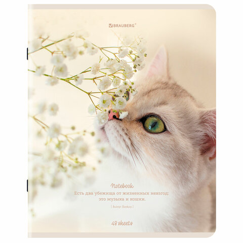 Тетрадь А5, 48 л., BRAUBERG, скоба, клетка, матовая ламинация, «Cats», (микс в спайке)