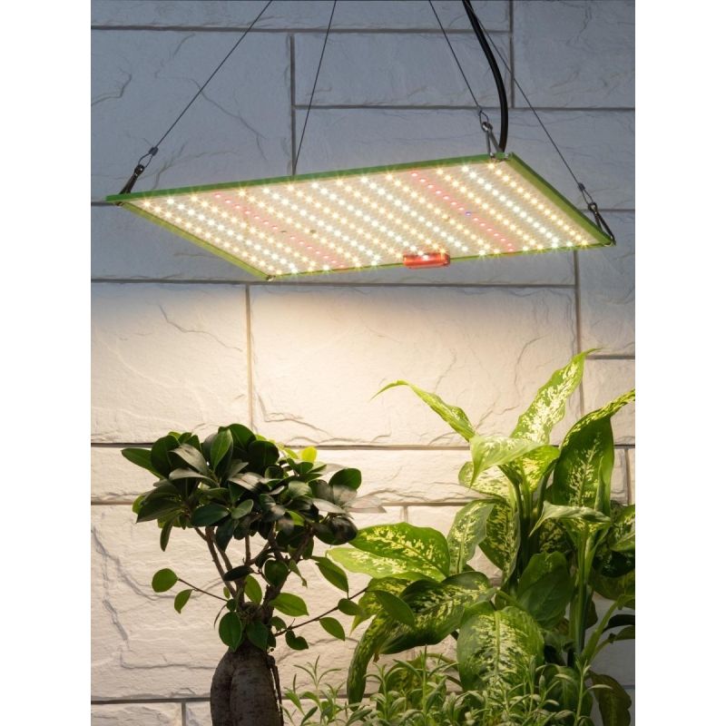 Фитопрожектор ЭРА FITO-80W-LED-QB Quantum board полного спектра 80 Вт 3500К
