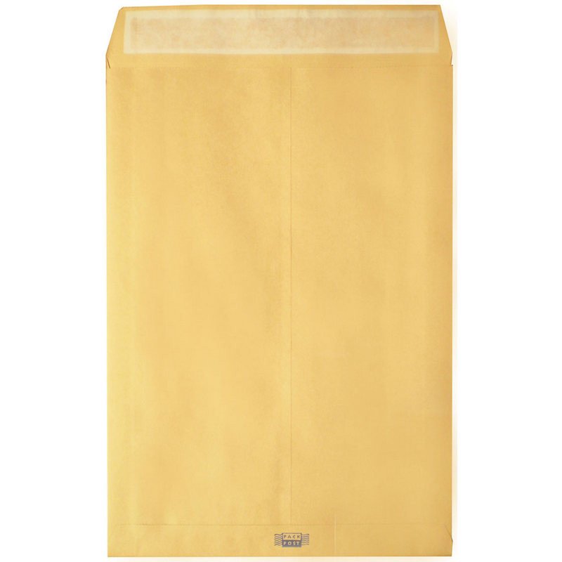 превью Пакет Крафт B4стрип Largepack250х353х40 120г 200шт/уп/6306