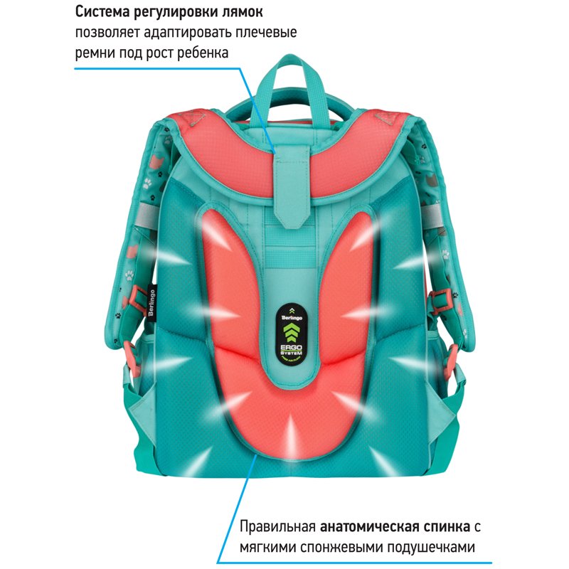 Ранец Berlingo Expert Max «Kittens green» 37×28×16см, 2 отделения, анатомическая спинка, дождевик в комплекте