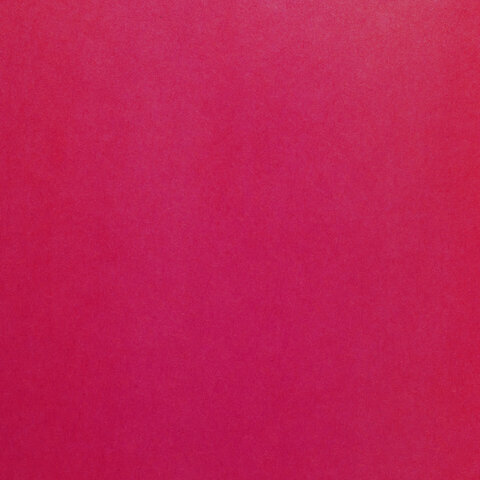 Цветная бумага А4 офсетная, 24 листа 24 цвета, на скобе, BRAUBERG, 200×280 мм, «Птица»