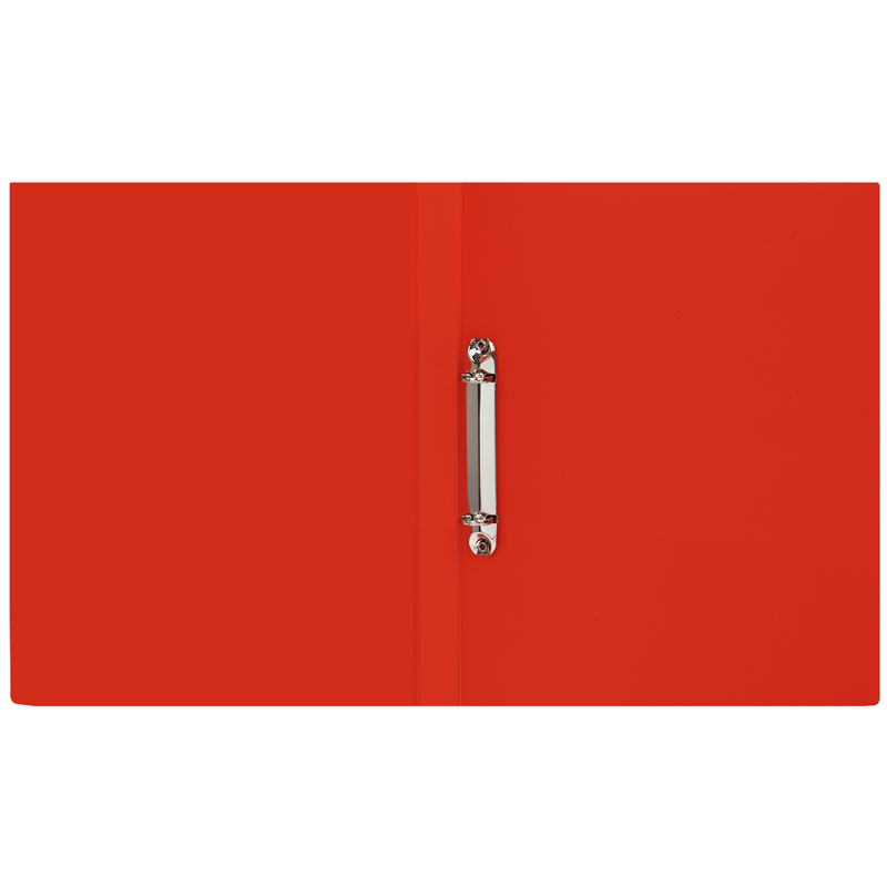 Папка-портфолио пластиковая А4 ArtSpace, на 2 кольцах для школьника, 10 файлов