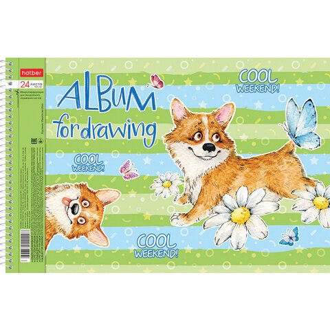 Альбом для рисования А4 24 л., спираль, обложка картон, HATBER, 205×290 мм, «Корги» (5 видов в спайке)