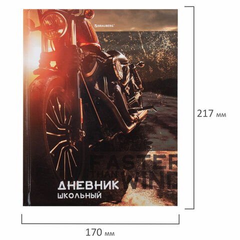 Дневник 5-11 класс 48 л., твердый, BRAUBERG, глянцевая ламинация, с подсказом, «Байк»