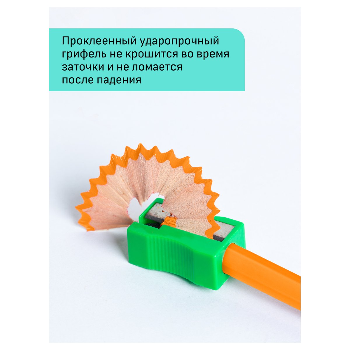 Карандаши цветные Гамма «Хобби. Флористика», 12цв., заточен., ПВХ, европодвес
