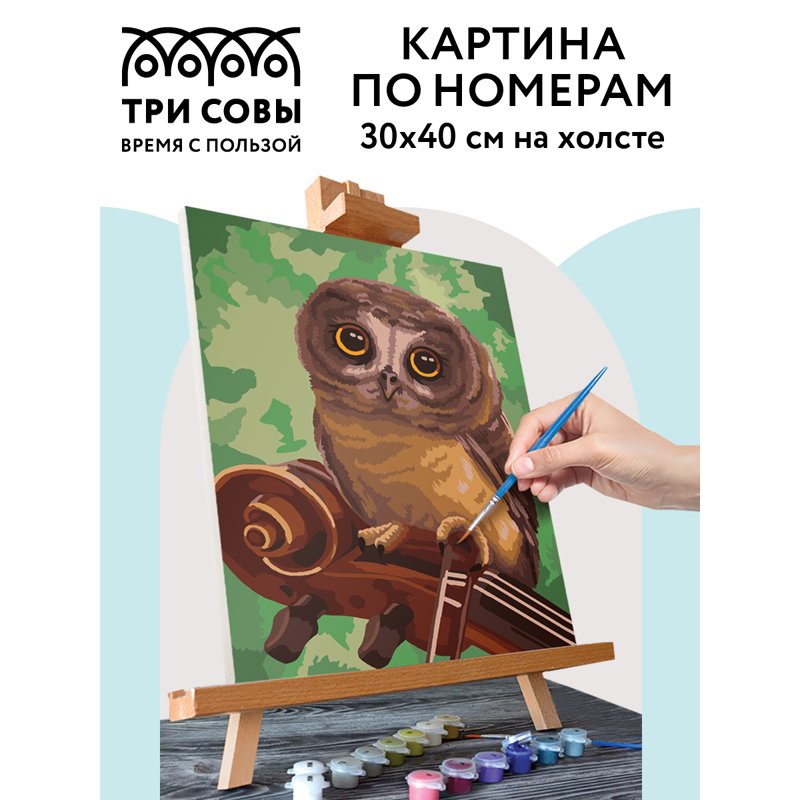 Картина по номерам на холсте ТРИ СОВЫ «Музыкант», 30×40, с акриловыми красками и кистями