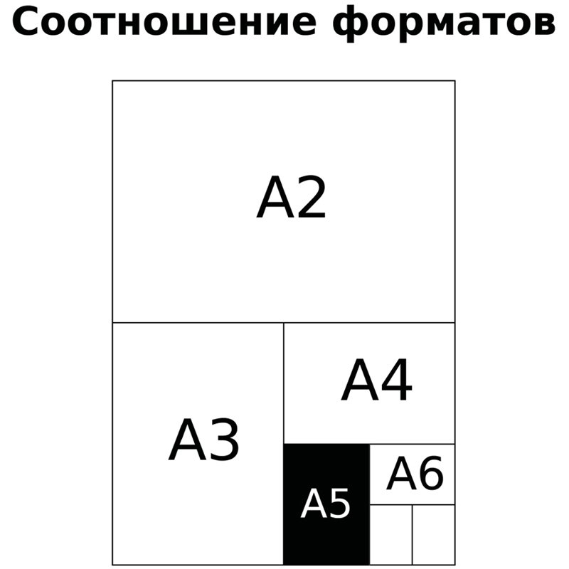 Тетрадь предметная 48л. BG «Ритмы» - Геометрия, пантонная печать, матовая ламинация, выб. лак, 70г/м2
