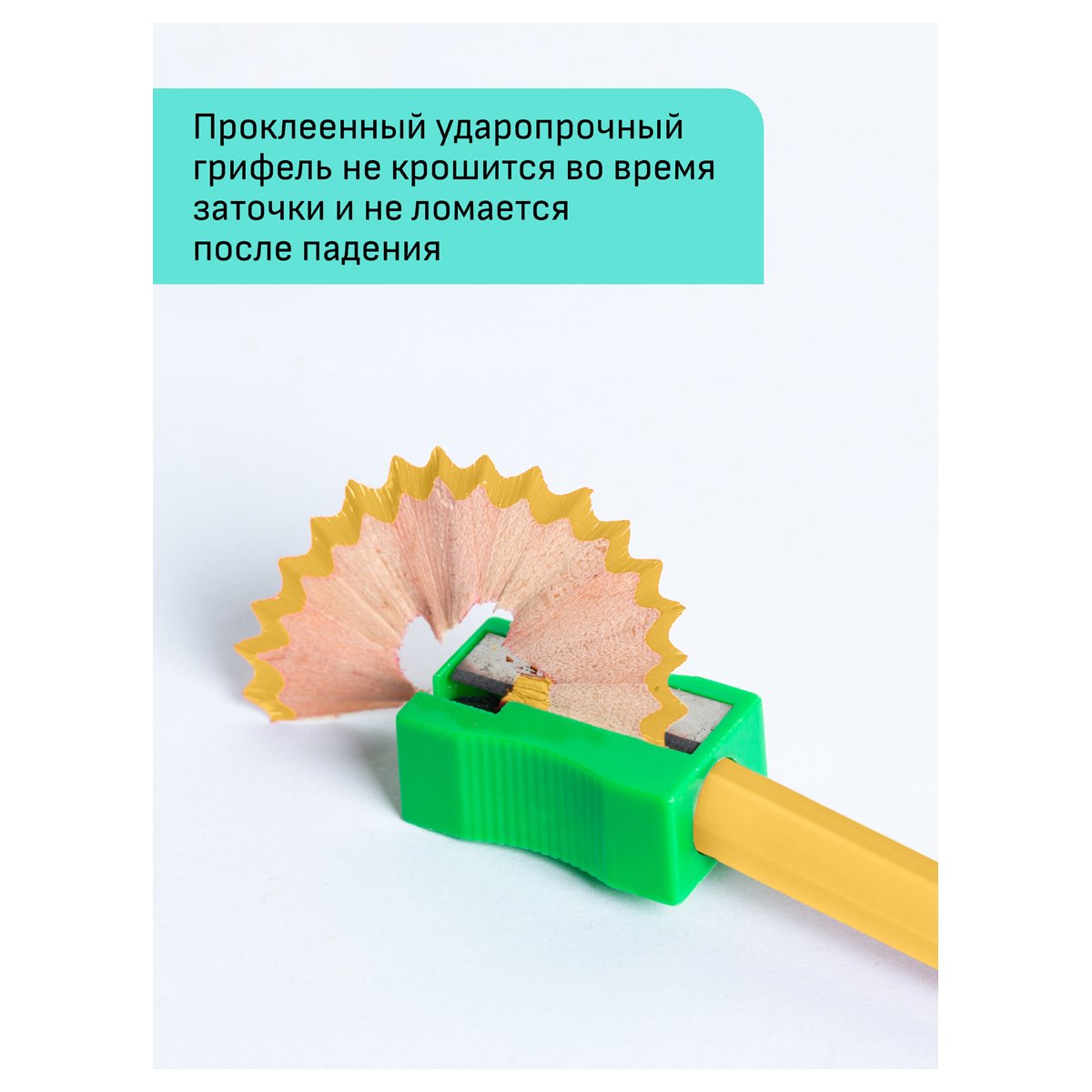 Карандаши цветные Гамма «Хобби. Портрет», 12цв., заточен., ПВХ, европодвес