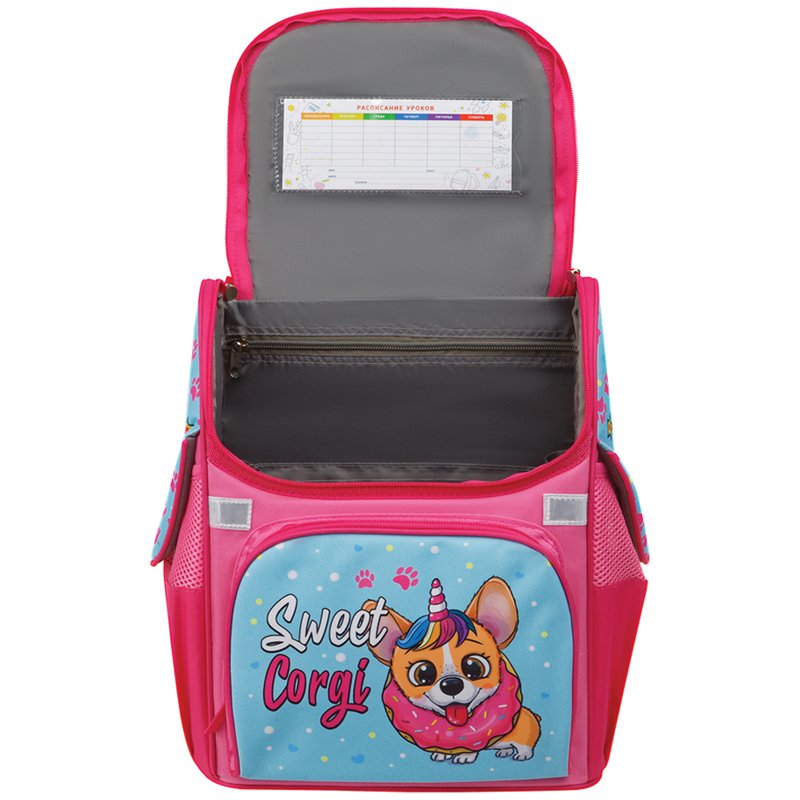 Ранец ArtSpace Junior «Sweet dog» 37×28×21см, 1 отделение, 3 кармана, анатомическая спинка