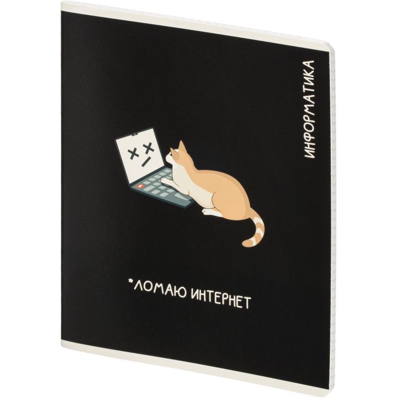Тетрадь предметная КОТЫ МЕМЫ, набор12 шт.48л, А5+, клетка/линия/71449