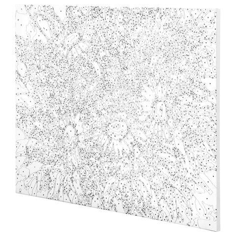 Картина по номерам 40×50 см, ОСТРОВ СОКРОВИЩ «Ромашки», на подрамнике, акрил, кисти