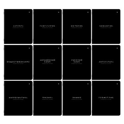 Тетради предметные, КОМПЛЕКТ 12 ПРЕДМЕТОВ 48 л., пластиковая обложка, BRAUBERG «BLACK MODE»