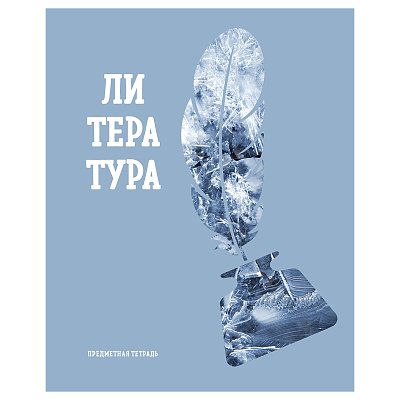 Тетрадь предметная 48л. BG «Подсказки» - Литература, матовая ламинация, микро sandy-touch лак