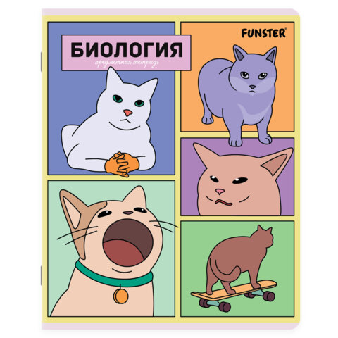 Тетради предметные, КОМПЛЕКТ 12 ПРЕДМЕТОВ, 48 л., TWIN-лак, FUNSTER (ФАНСТЕР), МЕМНЫЕ КОТЫ