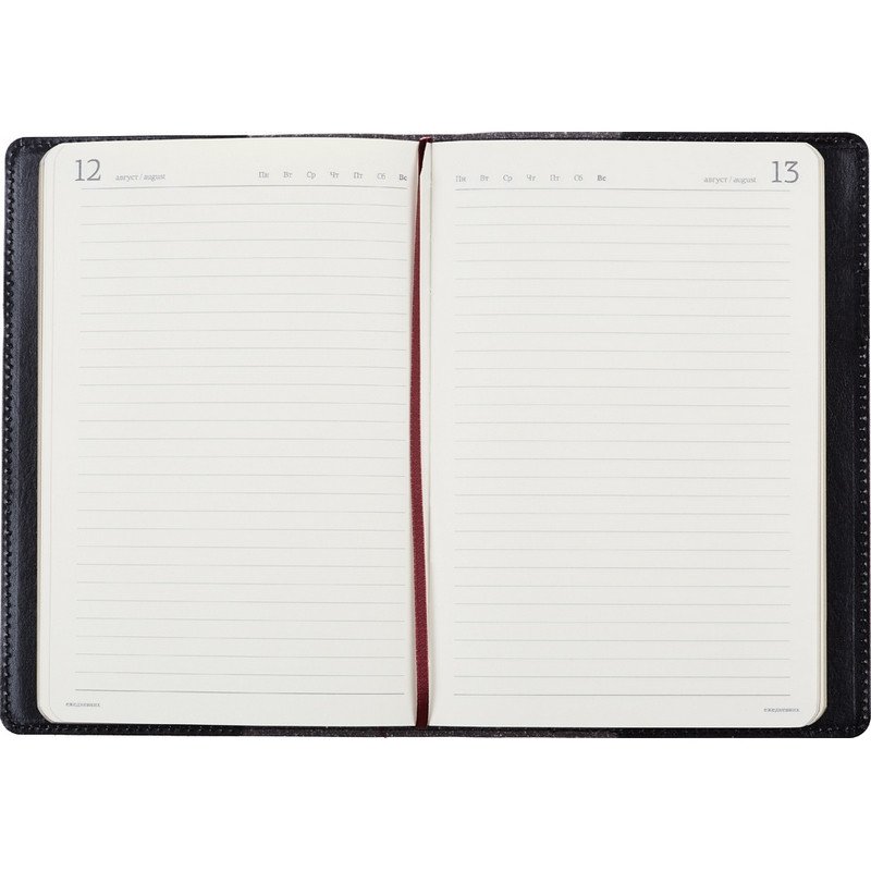Ежедневник п/дат, черный, кожа, A5.1,208 л., Br. V. PROFI 3-073/02