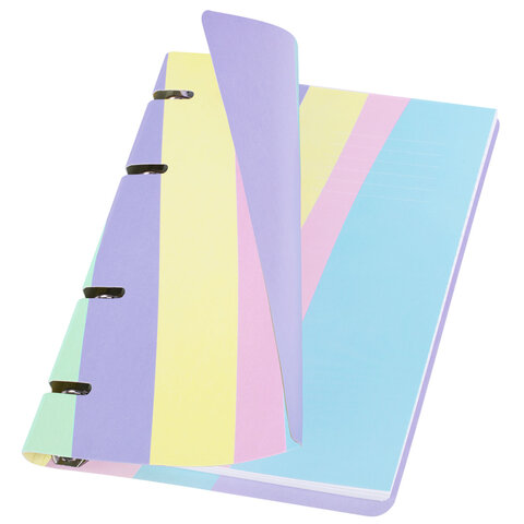 Тетрадь на кольцах А5 160×212 мм, 120 л., картон, матовая ламинация, клетка, BRAUBERG, кросс-серия PASTEL