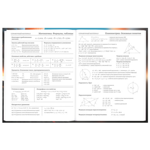 Дневник 5-11 класс 48 л., твердый, BRAUBERG, глянцевая ламинация, с подсказом, «Байк»