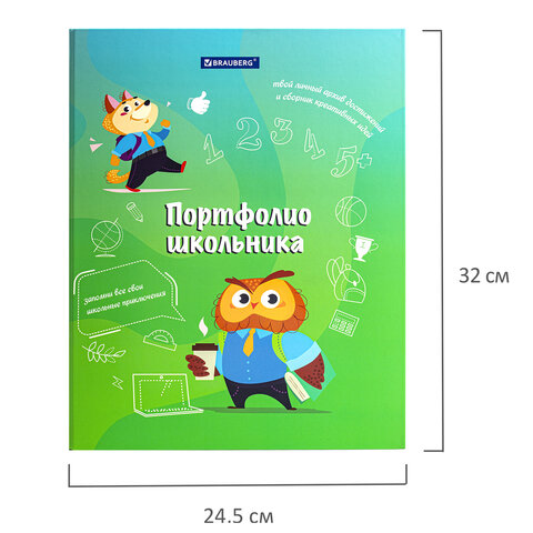 Папка-портфолио школьника «ОТЛИЧНИК», 4 кольца, 20 файлов, 10 вкладышей, 7БЦ матовая, BRAUBERG