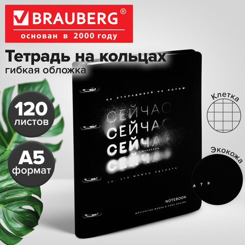 Тетрадь на кольцах А5, 175×215 мм, 120 л., под кожу, BRAUBERG VISTA, «Сейчас»