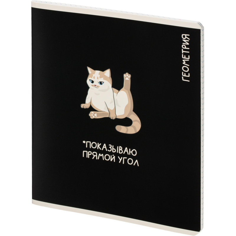 Тетрадь предметная КОТЫ МЕМЫ, набор12 шт.48л, А5+, клетка/линия/71449