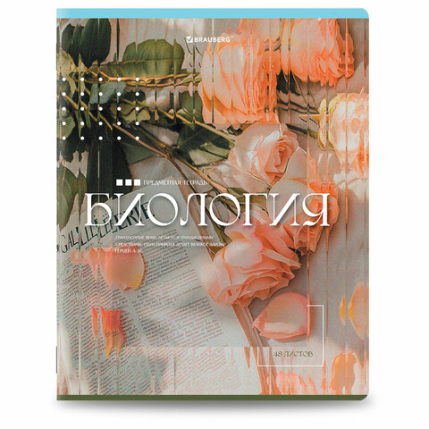 Тетради предметные, КОМПЛЕКТ 12 ПРЕДМЕТОВ, 48 л., глянцевый УФ-лак, BRAUBERG «ILLUSION»