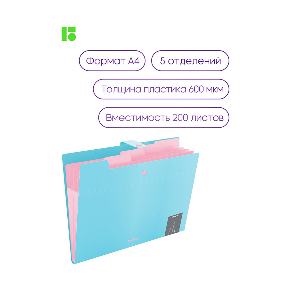 Папка 5 отделений Berlingo «Haze», А4, 600мкм, на кнопке, голубая