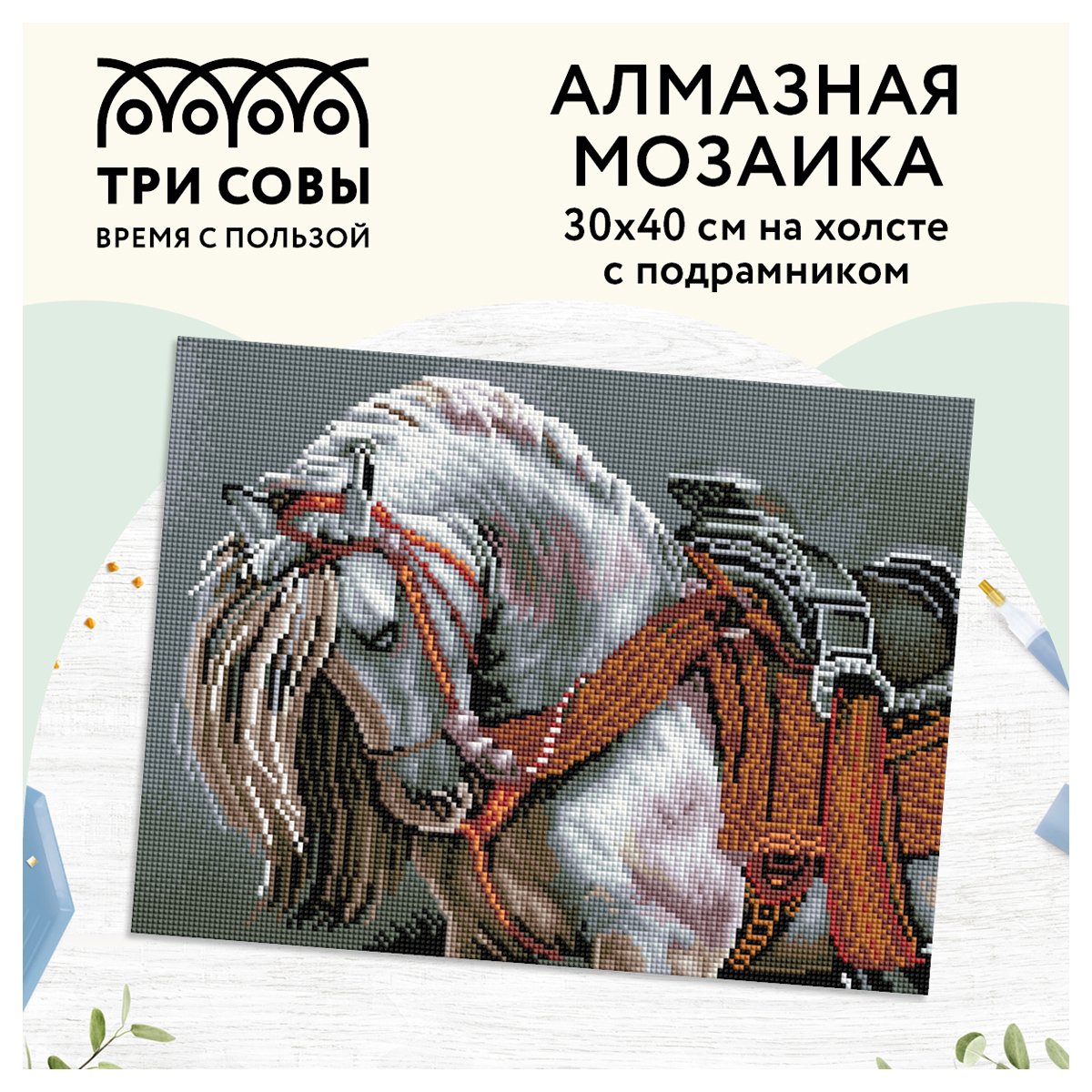 Алмазная мозаика ТРИ СОВЫ «Богатырский конь», 30×40см, холст на деревянном подрамнике, картонная коробка с пластиковой ручкой