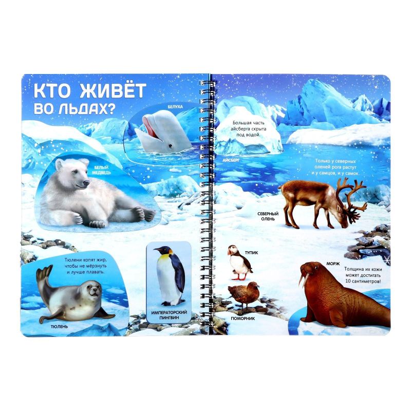 Книга с прозр. стр. Жизнь на земле. Животные и где они обитают 32стр 7090285