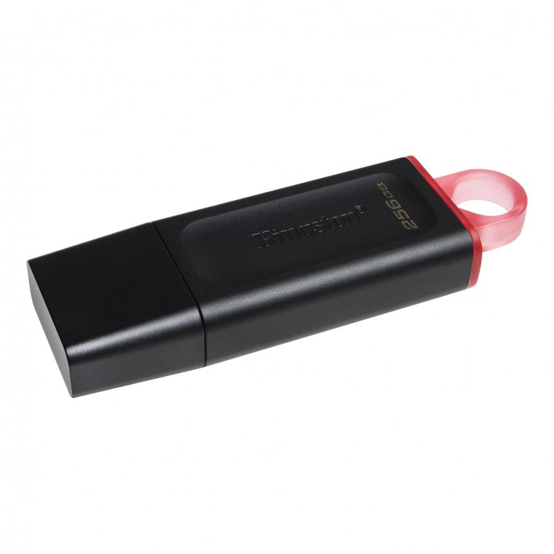 Флеш-память USB 3.2 256 ГБ Kingston DataTraveler Exodia (DTX/256GB)