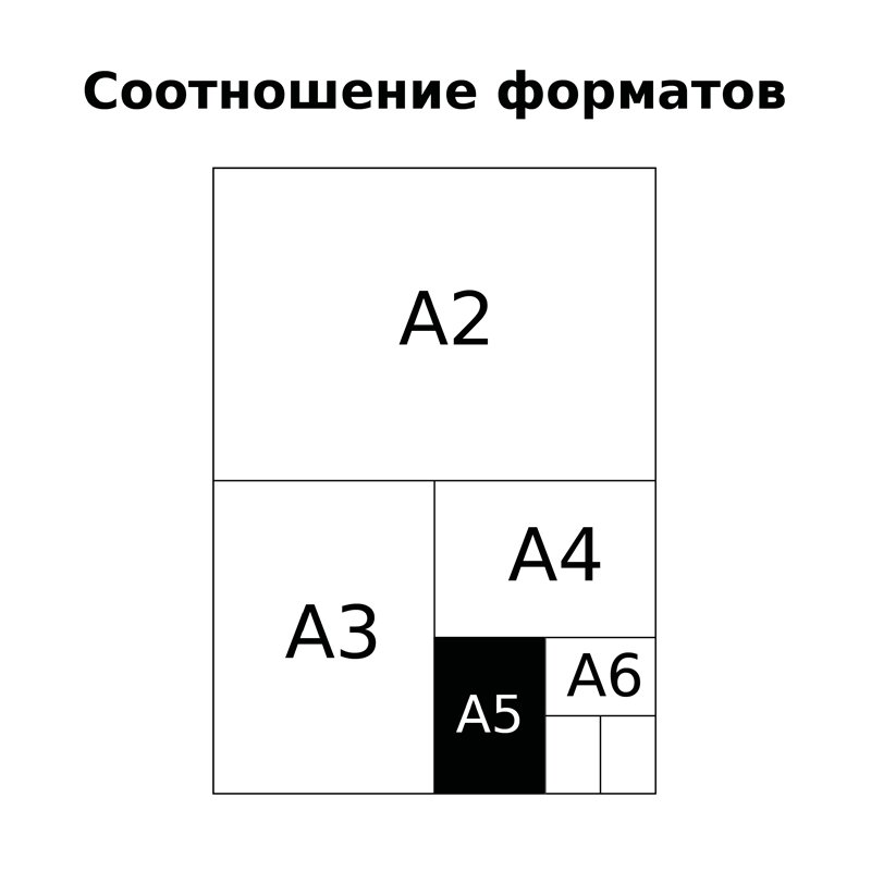 Тетрадь предметная 48л. BG «Угадай кто» - Физика, матовая ламинация, выборочный лак