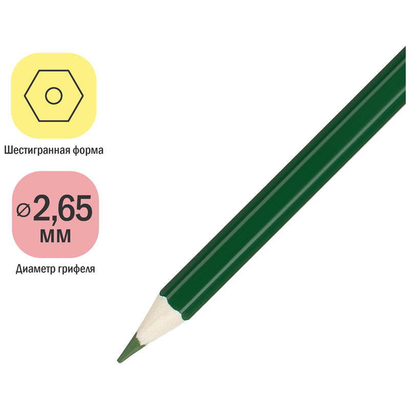 Карандаши цветные ArtSpace «Милые зверушки», 06цв., заточен., картон, европодвес