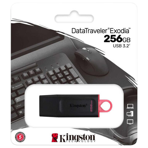 Флеш-память USB 3.2 256 ГБ Kingston DataTraveler Exodia (DTX/256GB)
