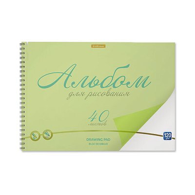 Альбом для рисования обложка пластик, А4, 40 л., гребень, 120 г/м2, перфорация, Erich Krause, «Neon», зеленый