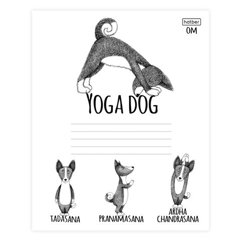Тетрадь 24 л., HATBER, клетка, обложка картон, «Animals Yoga» (5 видов), 24Т5В1