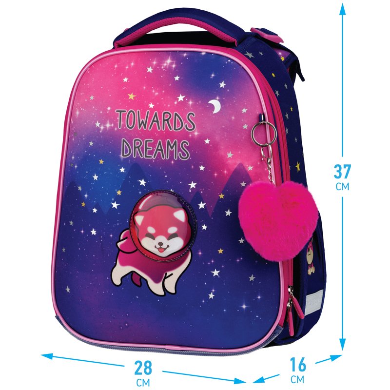 Ранец Berlingo Expert «Akita boy» 37×28×16см, 2 отделения, 2 кармана, анатомическая спинка