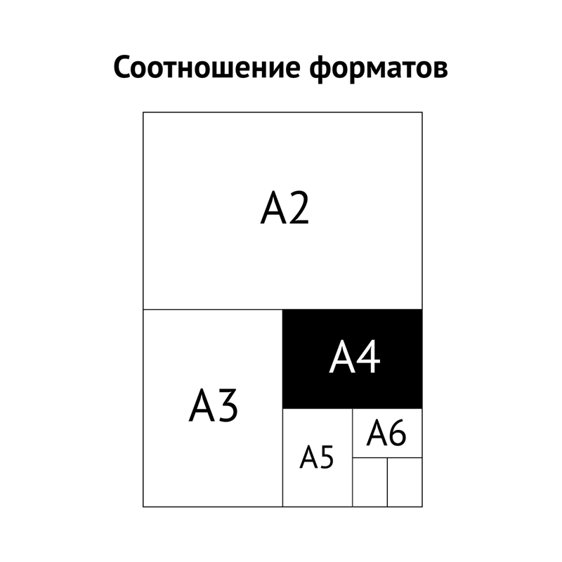 Папка 13 отделений OfficeSpace, A4, 500мкм, на резинке, черная