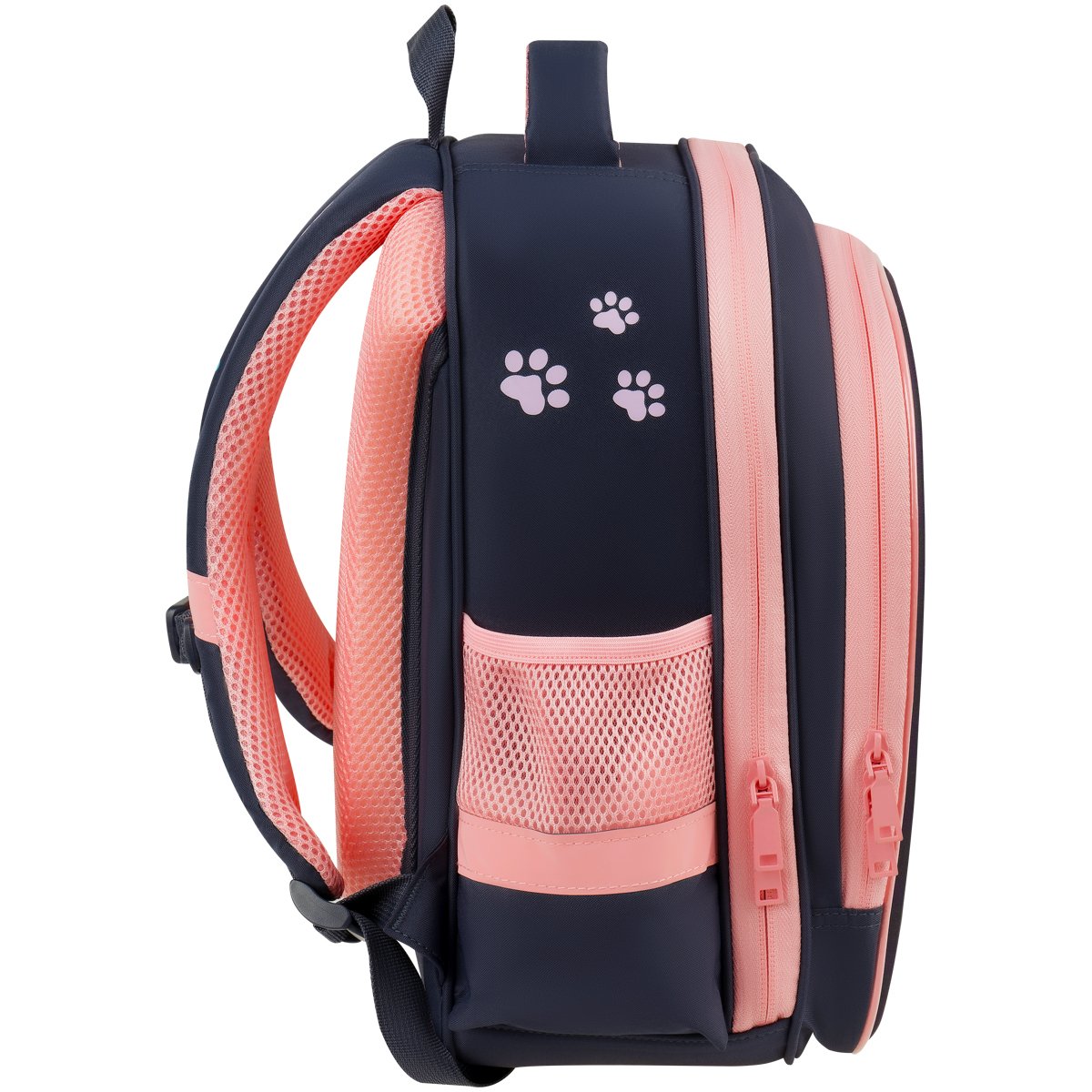 Ранец ArtSpace School Friend Light «Cute Paws» 35×29×12см, 2 отделения, 2 кармана, анатомическая спинка