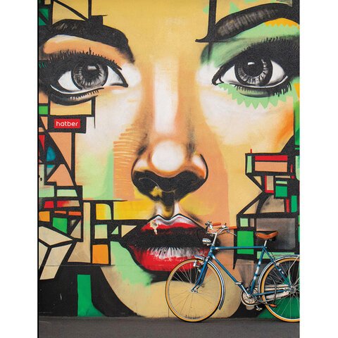 превью Тетрадь на кольцах А5, 160л., Hatber «Street ART», глянцевая ламинация