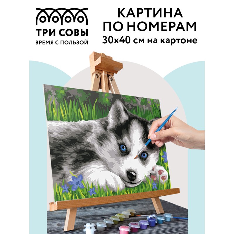 Картина по номерам на картоне ТРИ СОВЫ «Голубоглазый пушистик», 30×40, с акриловыми красками и кистями