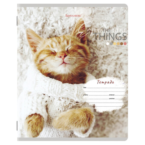 Тетради 12 л. КОМПЛЕКТ 10 шт. BRAUBERG, клетка, обложка картон, ПИТОМЦЫ