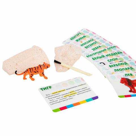 Набор для раскопок «Дикие животные»12 видовкарточкиинструментыBRAUBERG KIDS665128