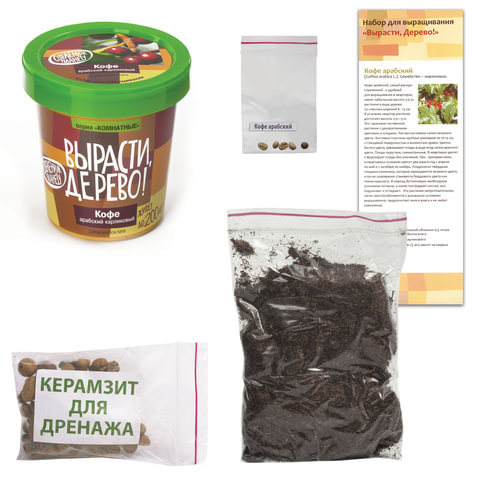 Набор для выращивания растений ВЫРАСТИ ДЕРЕВО! «Кофе арабский карликовый» (банка, грунт, семена)
