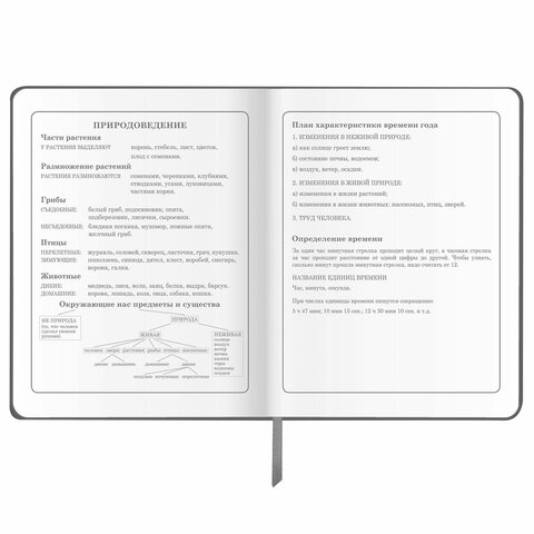 Дневник 1-4 класс 48 л., обложка кожзам (твердая), печать, аппликация, ЮНЛАНДИЯ, «Truck Race»