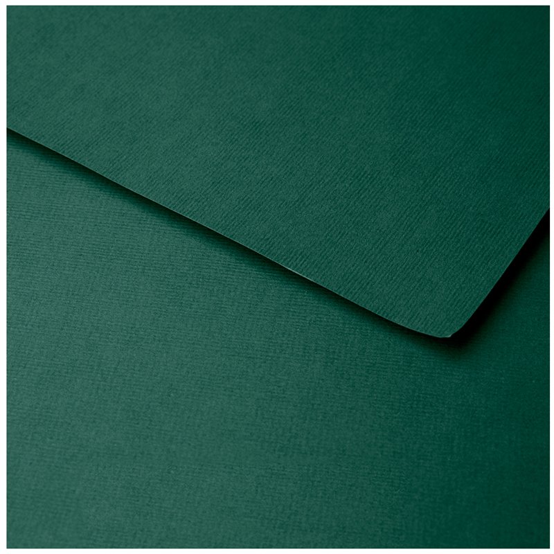 Бумага для пастели 25л. 500×650мм Clairefontaine «Ingres», 130г/м2, верже, хлопок, темно-зеленый
