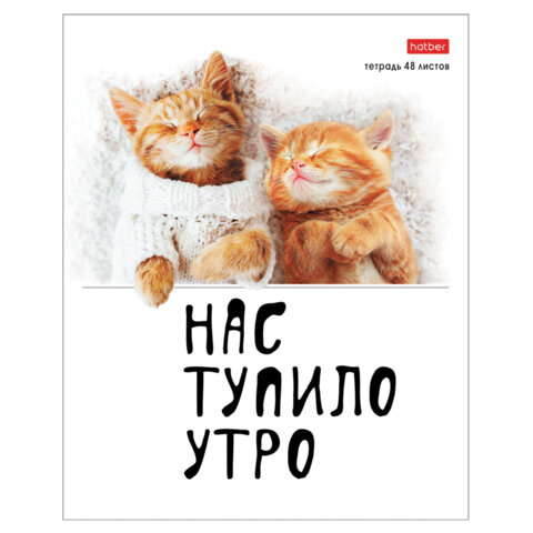 Тетрадь А5 48 л., HATBER скоба, клетка, обложка картон, «Котоюмор» (микс в спайке), 079790