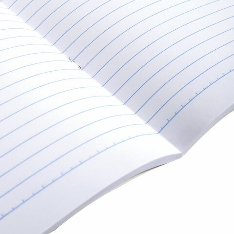 Тетрадь А4, 96 л., BRAUBERG, скоба, линия, обложка картон, «Природа»