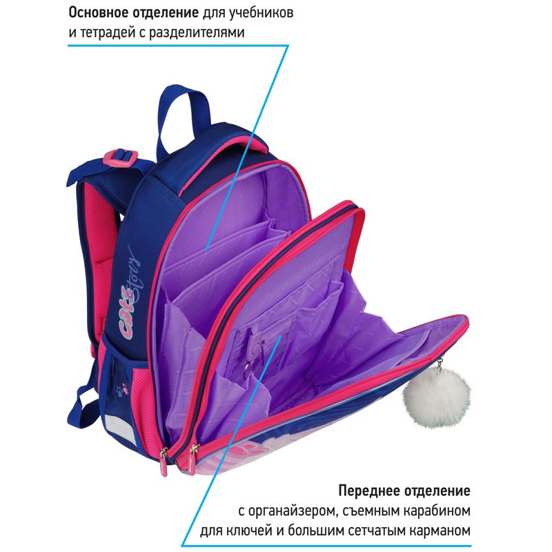 Ранец Berlingo Expert «Scary cat» 37×28×16см, 2 отделения, 2 кармана, анатомическая спинка